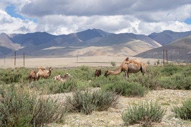 Similar image 21716762