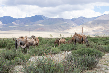 Similar image 21716764