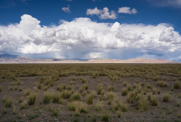 Similar image 21716766