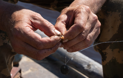 Similar image 21716769