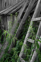 Similar image 21716770