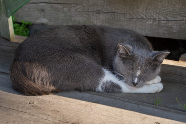 Similar image 21716771