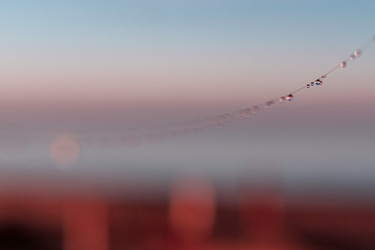 Similar image 21720451