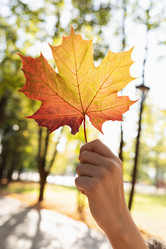 Similar image 21716528