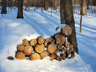 Similar image 21716531