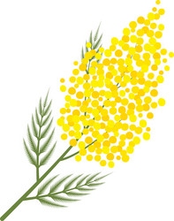 Similar image 21720329