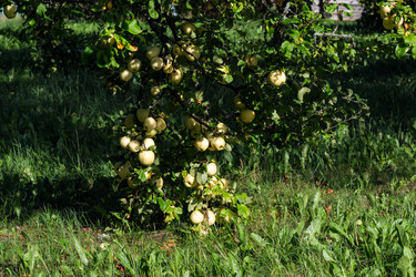 Similar image 21716200