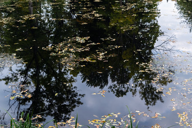 Similar image 21716201