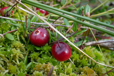 Similar image 21716582