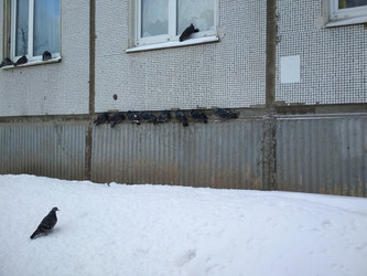 Similar image 21718091