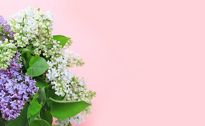 Similar image 21717634