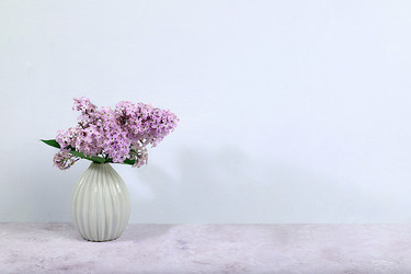 Similar image 21717635