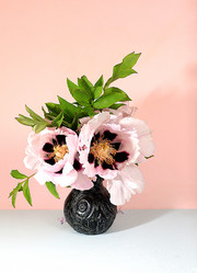 Similar image 21717636