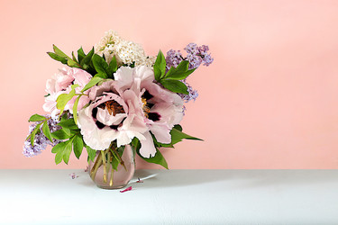 Similar image 21717637