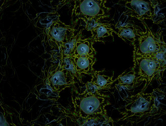 Similar image 21718746