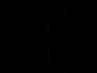 Similar image 21719053