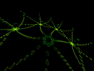 Similar image 21719100