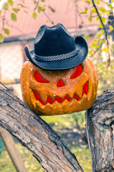 Similar image 21717488