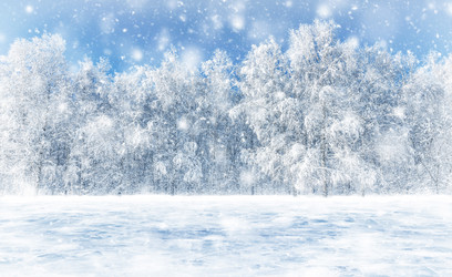 Similar image 21719222