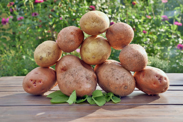 Similar image 21717495