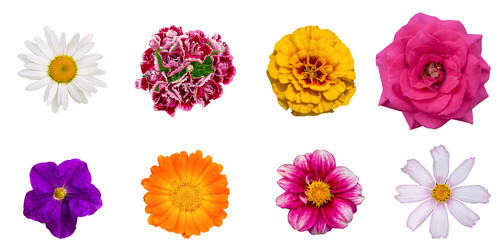 Similar image 21717504