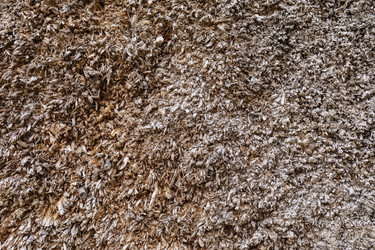 Similar image 21718109