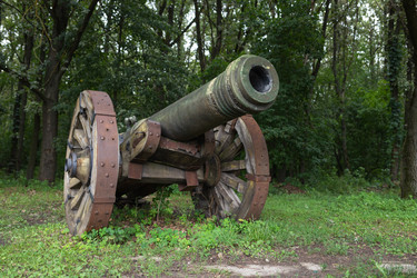 Similar image 21718110