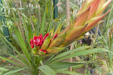 Similar image 21717448