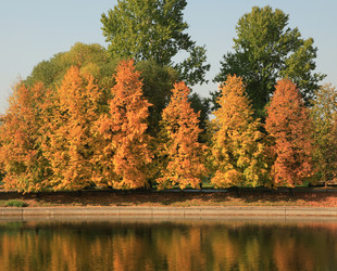 Similar image 21717505