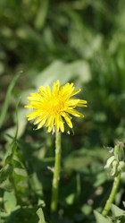 Similar image 21717514