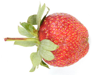 Similar image 21717516