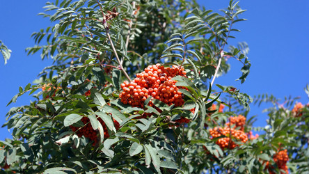 Similar image 21717524