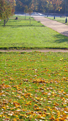 Similar image 21718117