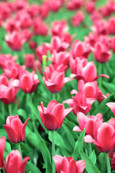 Similar image 21718118