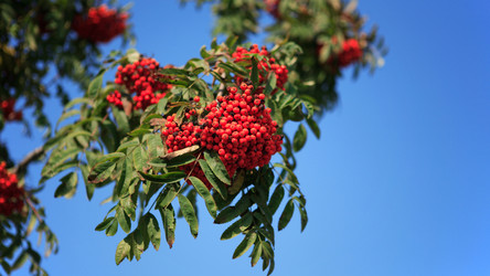 Similar image 21718120