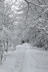 Similar image 21717449