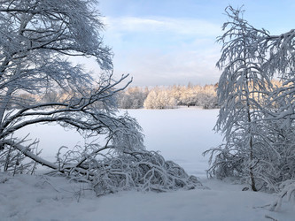 Similar image 21717450