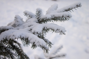 Similar image 21719223