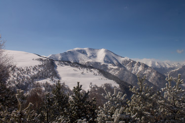 Similar image 21720311