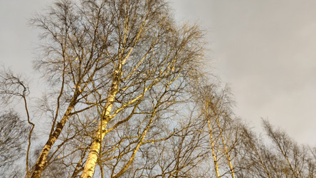 Similar image 21718132