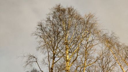 Similar image 21718134