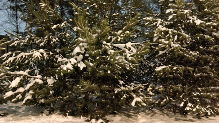 Similar image 21718136