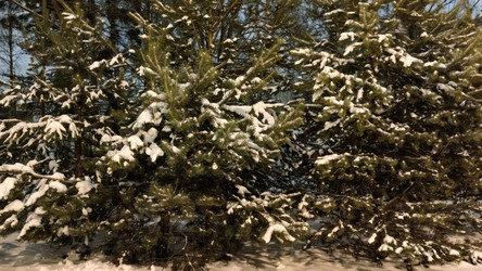 Similar image 21718138