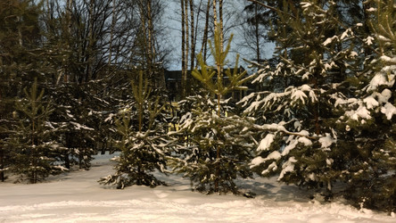 Similar image 21718140