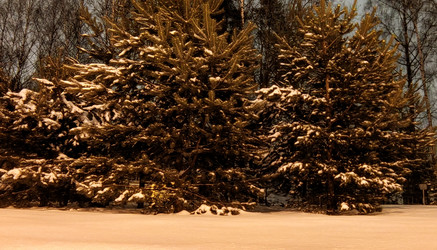 Similar image 21718142