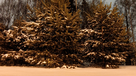 Similar image 21718144