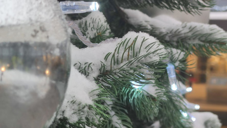 Similar image 21718151