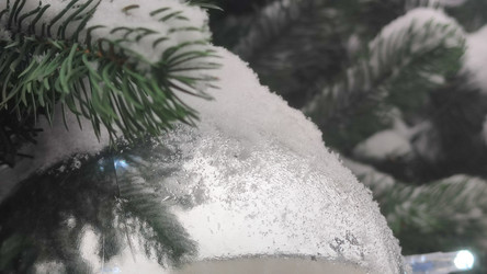 Similar image 21718153