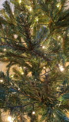 Similar image 21718154