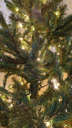 Similar image 21718155